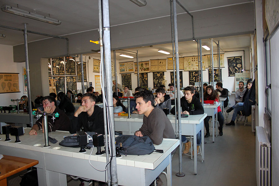 xiv-degustazione-vino-e-olio-giotto-ulivi-2017-3