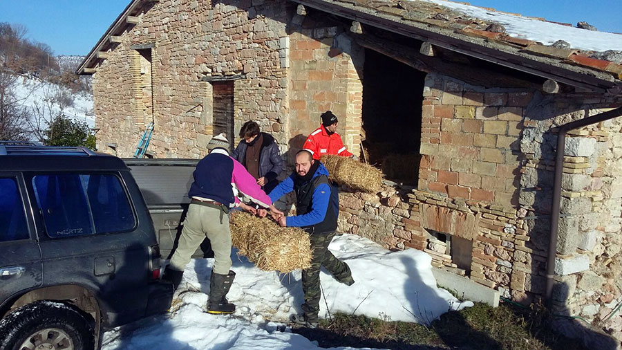luco-grezzano-terremoto-neve-muccia-5