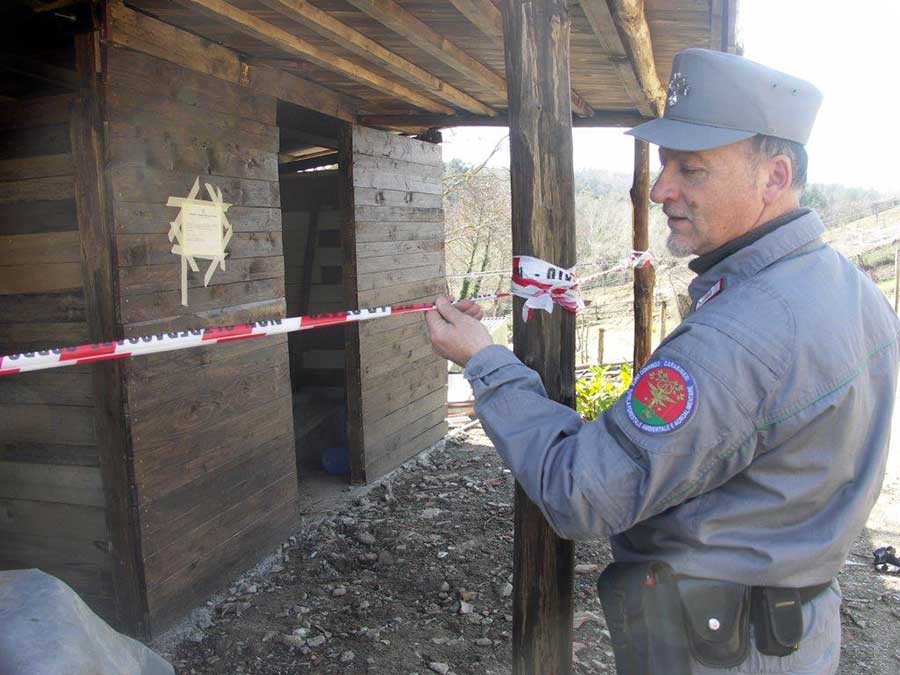 carabinieri-forestali-sequestro