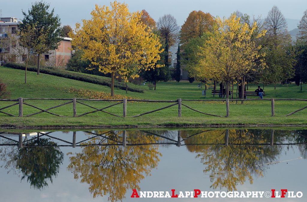 parco della misericordia borgo - 2004 - 01