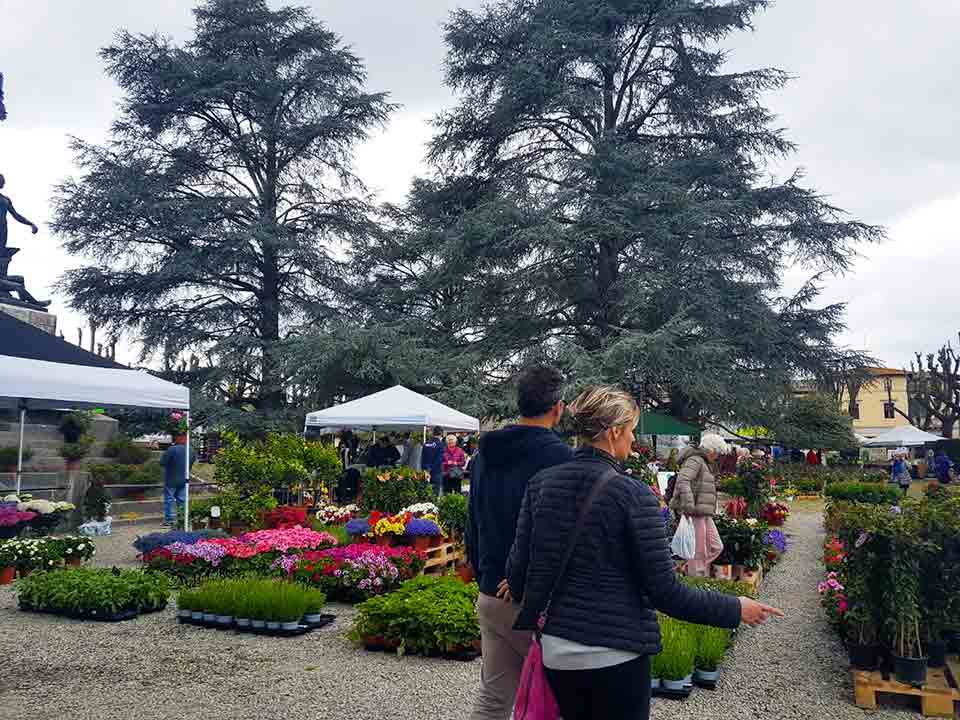 Fiorinfiera-2017-1