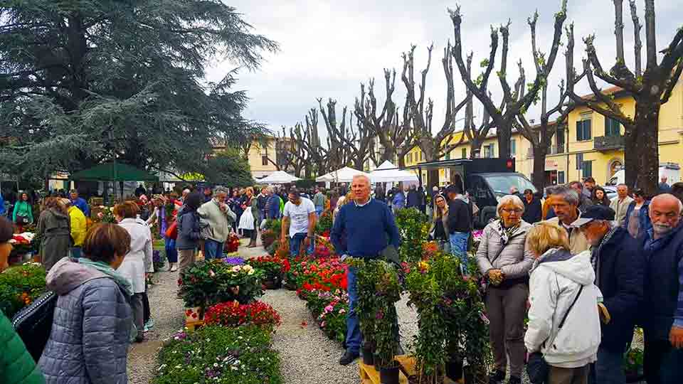 Fiorinfiera-2017-2