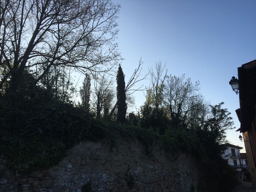 Panicaglia_via_del_Cantone_02