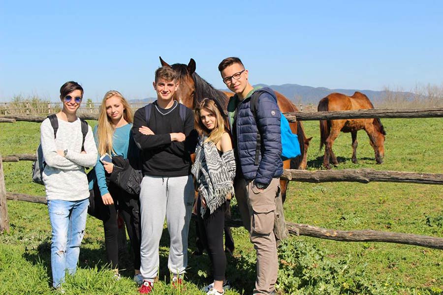 giotto-ulivi-in-maremma-settore-agricolo-3
