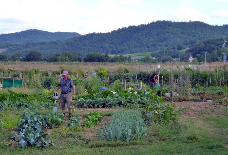 orti-sociali-urbani