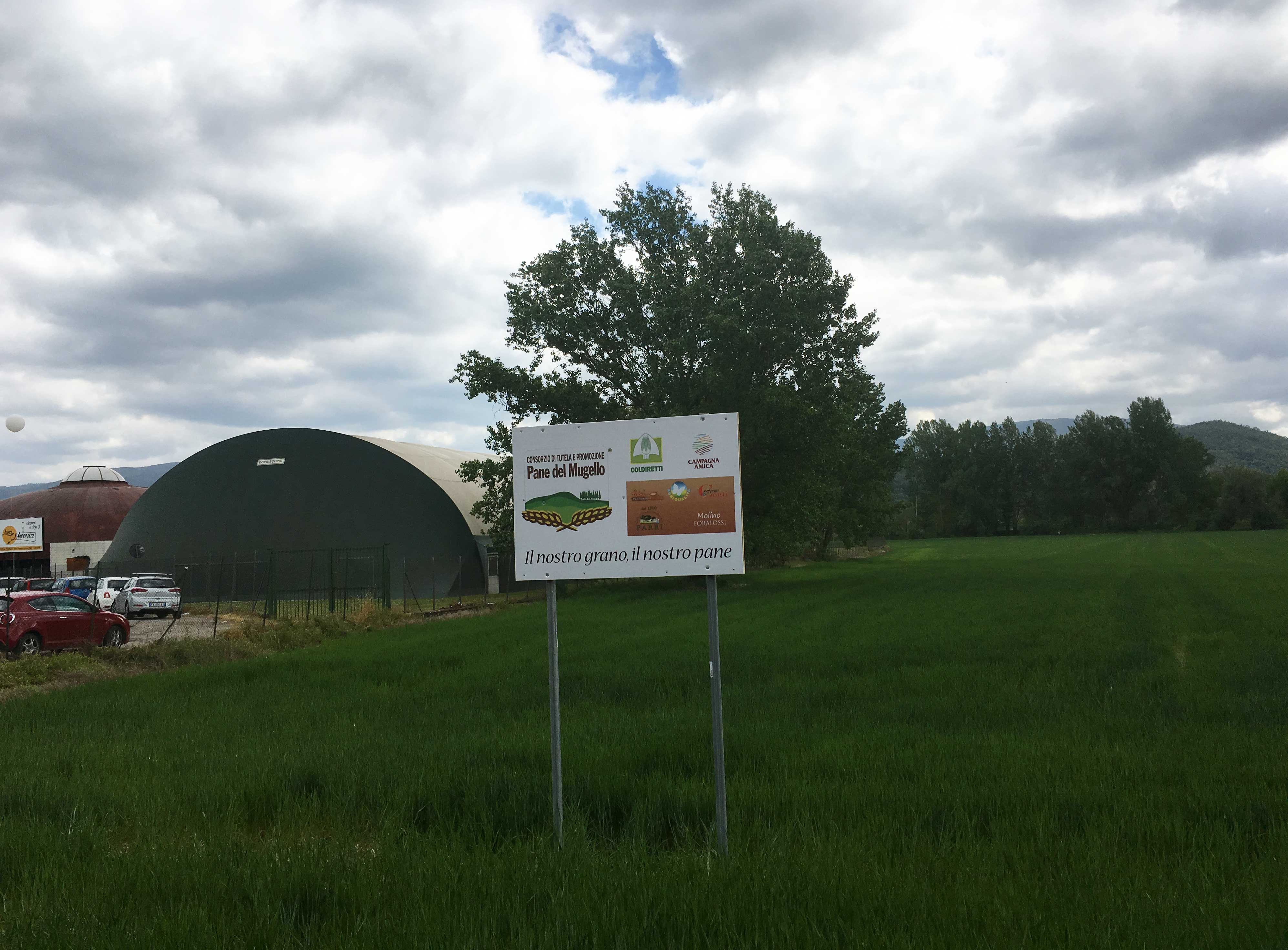 pane-del-mugello-aziende-agricole-grano-campi-cartelli