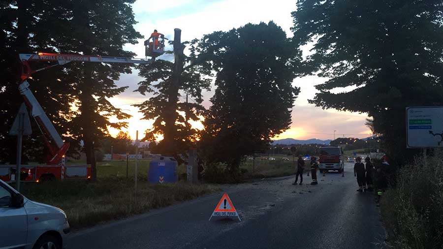 albero-vigili-del-fuoco-intervento-strada-chiusa-1