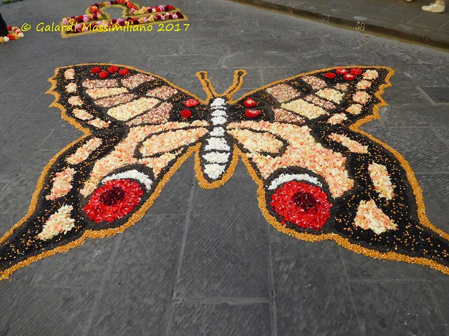 infiorata-2017-scarperia-3