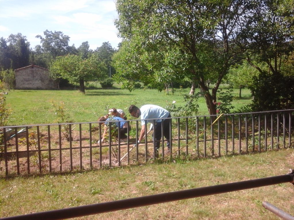 Bosco ai Frati_Chino_Chini_03