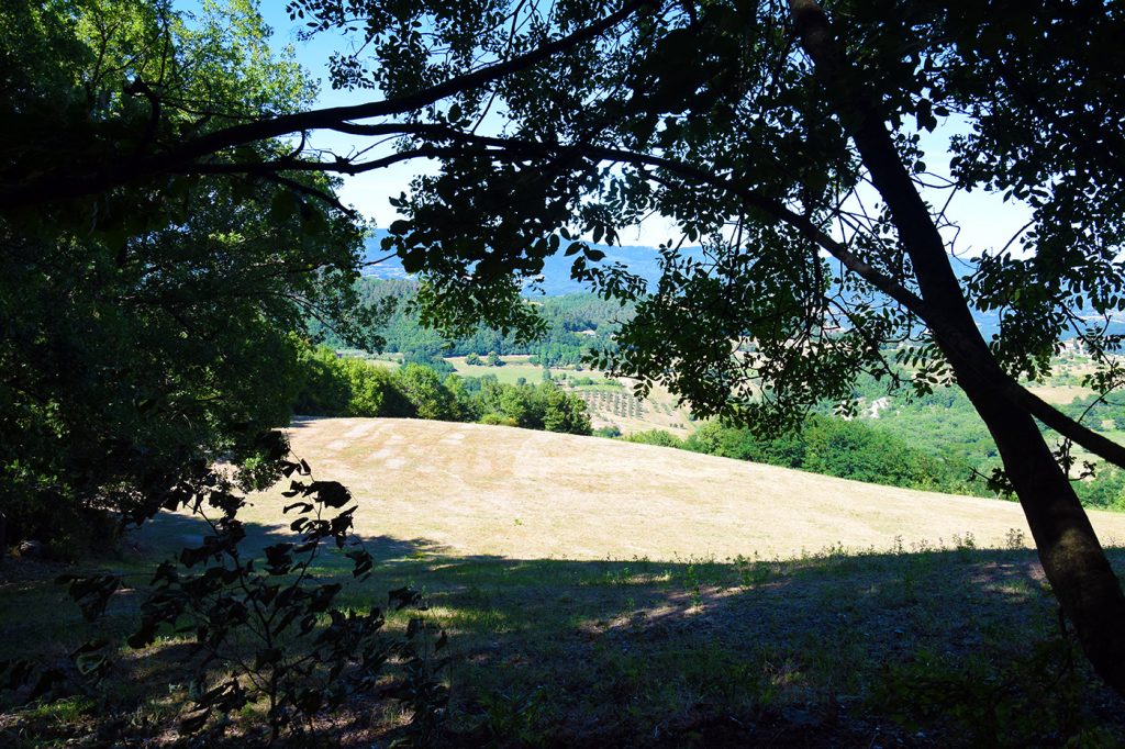 L'elicottero del Papa atterrerà qui