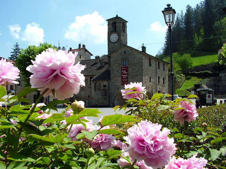 Palazzuolo--sul-senio-estate