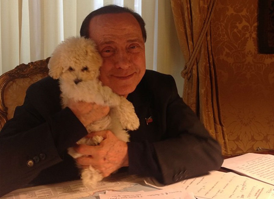 dudu berlusconi