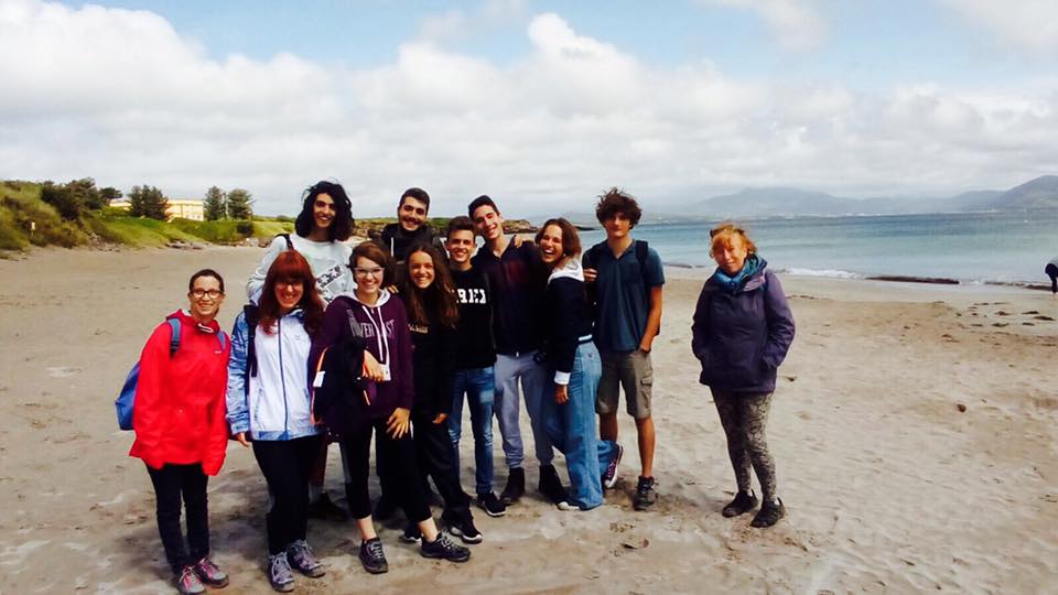 Vacanza studio Giotto Ulivi5