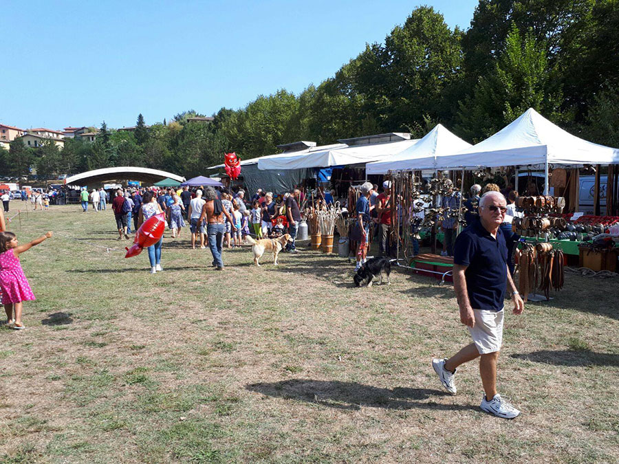 fiera-del-bestiame-2017