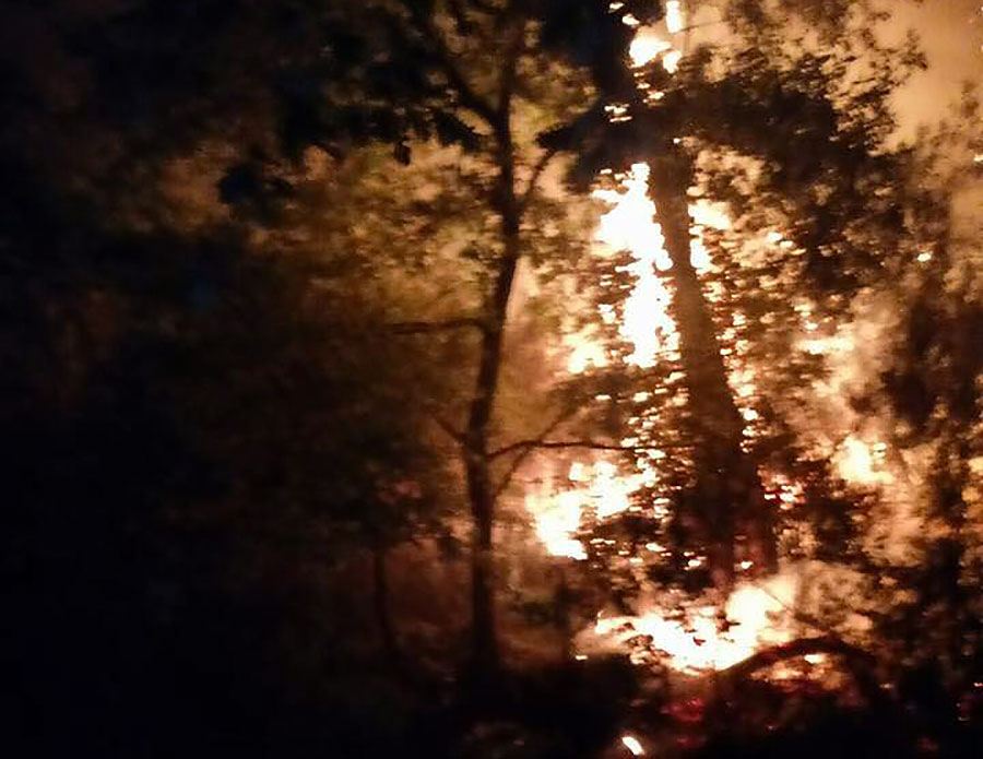 incendio-dicomano-2017-carbonile