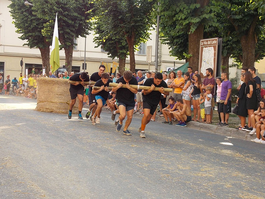 palio-di-san-lorenzo-2017-corsa-rotoballa