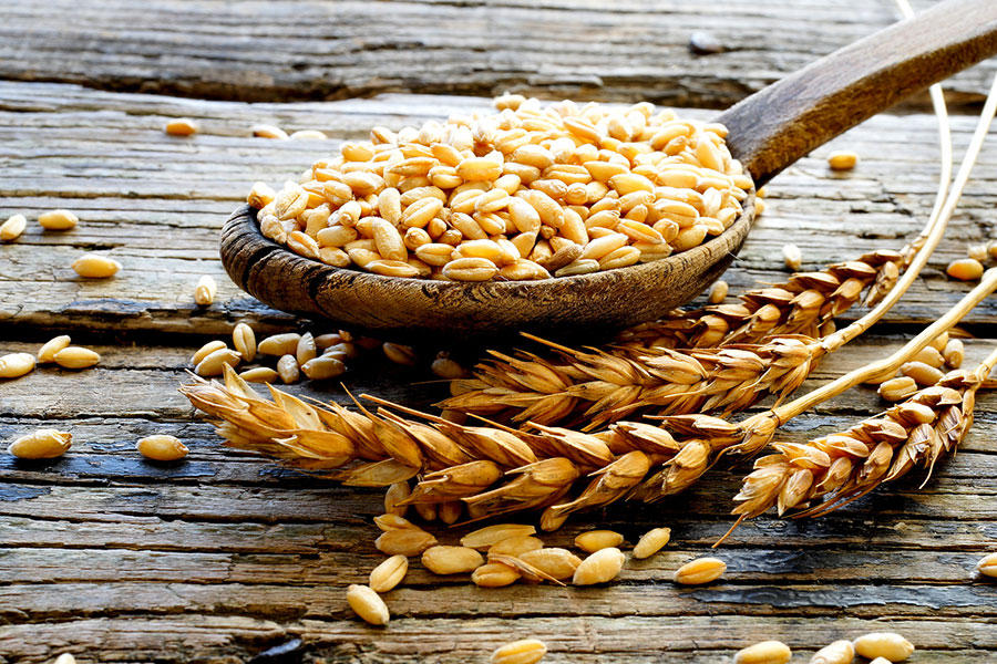 celiachia-glutine-grano-cereali