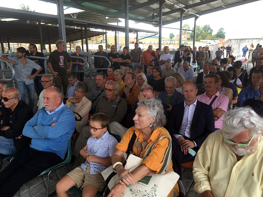 stalla-agriambiente-inaugurazione-2017-galliano-2