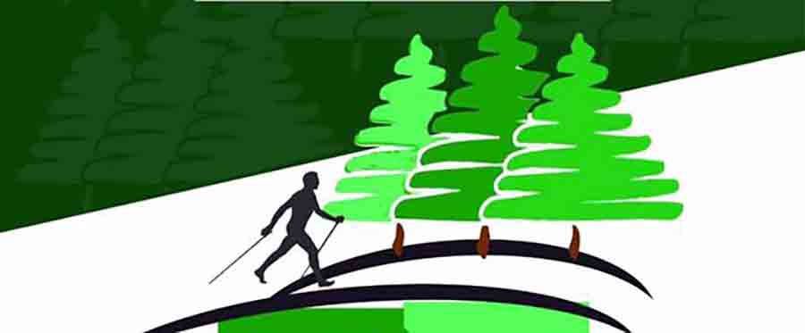 La-pineta-in-movimento