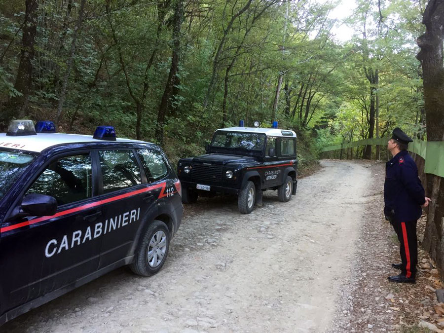 carabinieri-bosco-sentiero