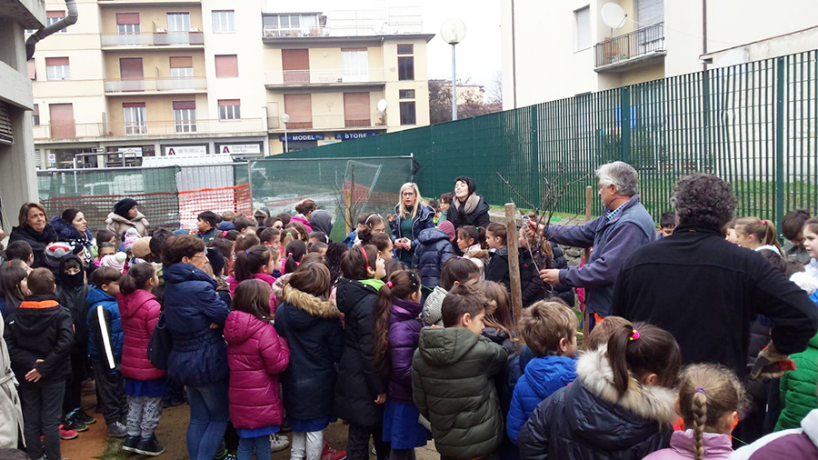 Festa-degli-alberi-2017-4