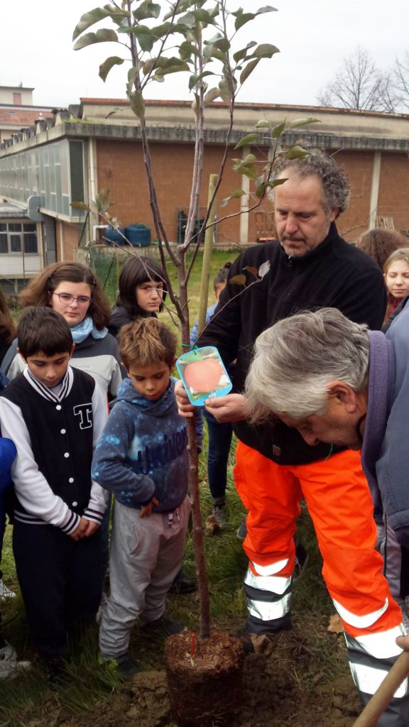 Giornata-degli-alberi-2017-3