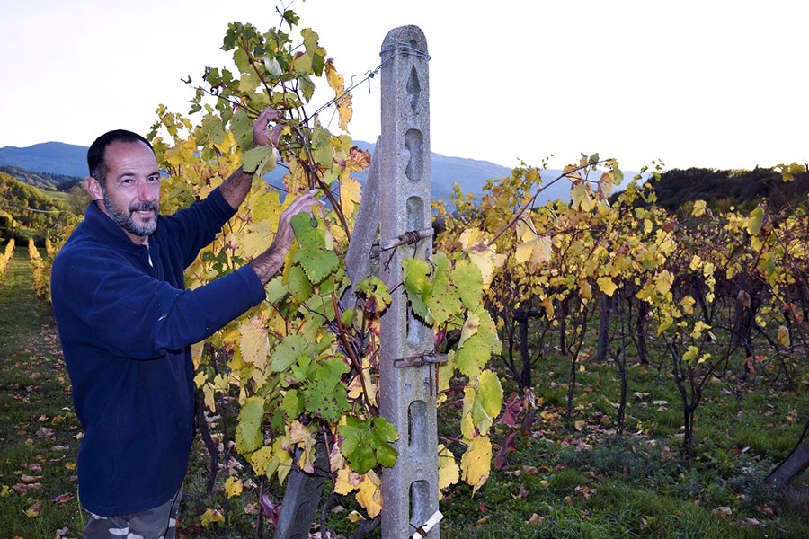 ivan-malpaga-azienda-la-matteraia-2017-4