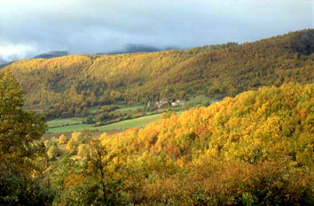 Autunno nelle campagne di Vaglia. Foto di Massimo Certini