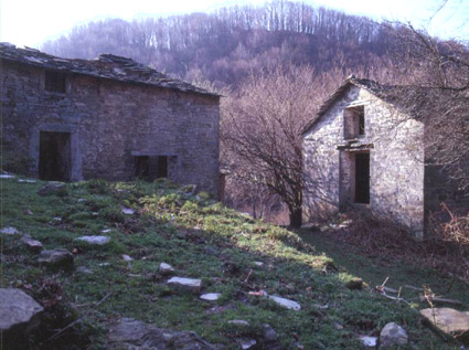 I Romiti