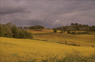 Mangona. Panorama. Foto di Massimo Certini