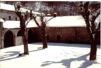 Moscheta d'inverno. Foto di Duccio Berzi