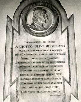 lapide di don giotto ulivi nella chiesa di San Lorenzo a campi