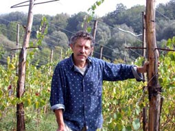 Paolo Cerrini, nel suo vigneto