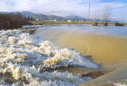 La Sieve in piena. Foto di Marco Corsi