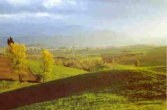 crocioni.jpg (10867 byte)