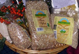 Il farro del Mugello