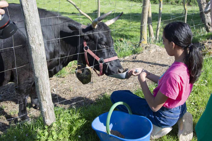 Mugello social farm