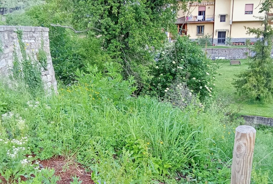 Erba a Vaglia