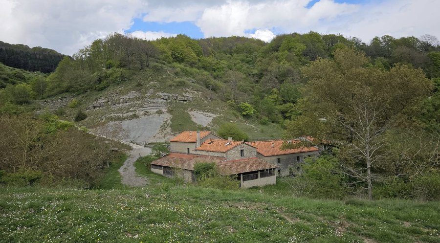 Valdiccioli