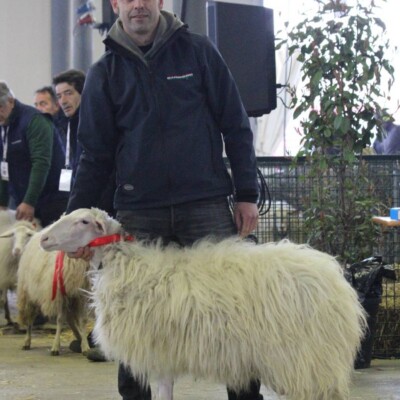 L'azienda agricola Sirigu